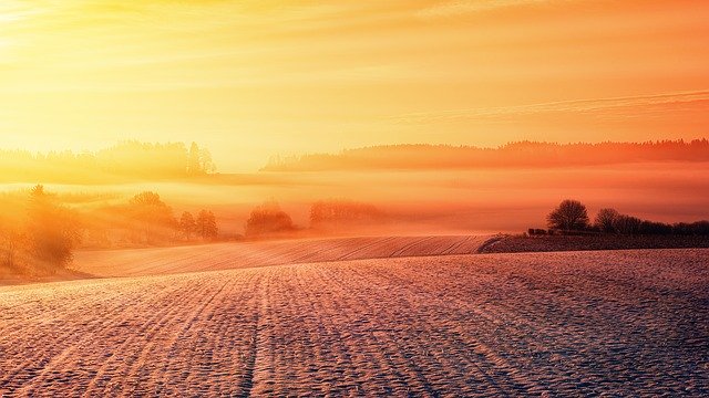 Innvigo – przełomowe rozwiązania dla rolnictwa przyszłości